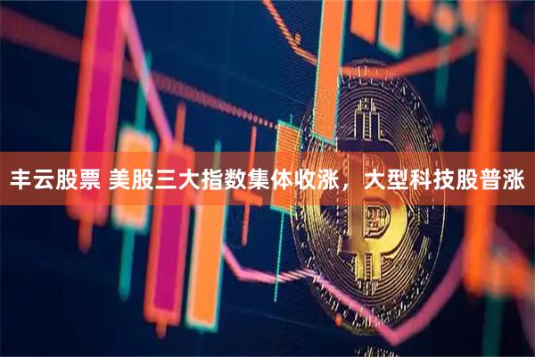 丰云股票 美股三大指数集体收涨，大型科技股普涨