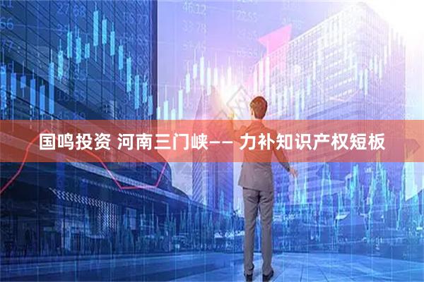 国鸣投资 河南三门峡—— 力补知识产权短板