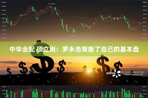 中华金配 项立刚：罗永浩背叛了自己的基本盘