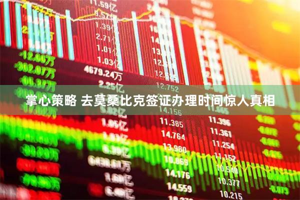 掌心策略 去莫桑比克签证办理时间惊人真相