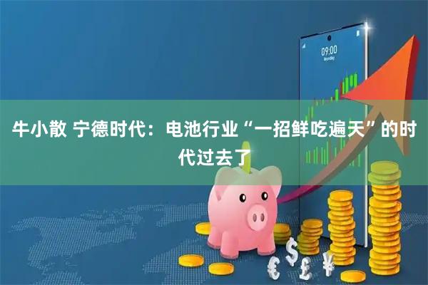 牛小散 宁德时代：电池行业“一招鲜吃遍天”的时代过去了