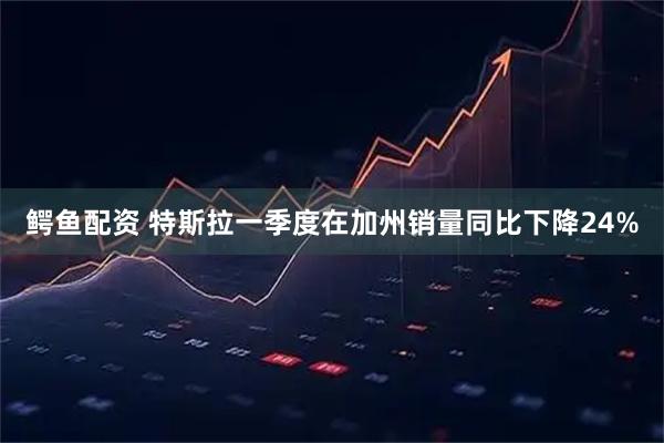 鳄鱼配资 特斯拉一季度在加州销量同比下降24%