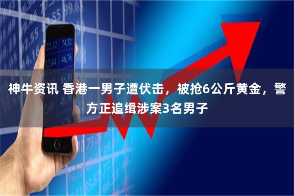 神牛资讯 香港一男子遭伏击，被抢6公斤黄金，警方正追缉涉案3名男子