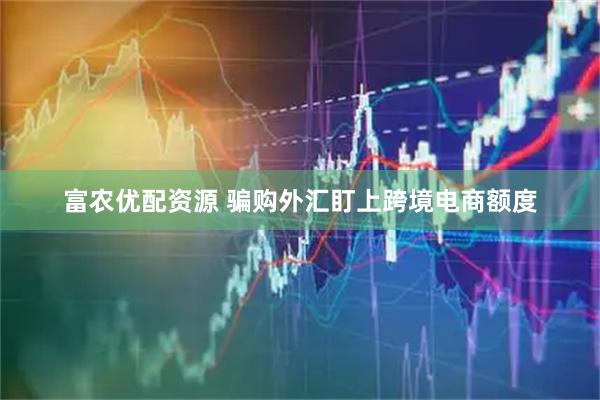 富农优配资源 骗购外汇盯上跨境电商额度
