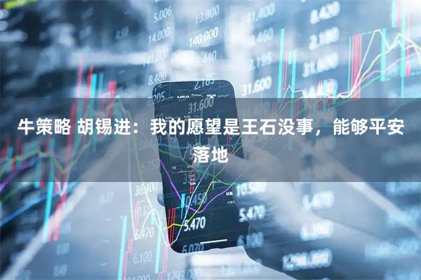 牛策略 胡锡进：我的愿望是王石没事，能够平安落地
