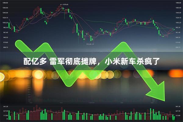 配亿多 雷军彻底摊牌，小米新车杀疯了