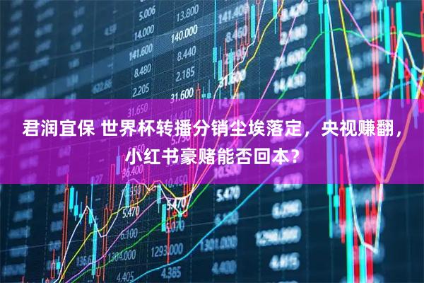 君润宜保 世界杯转播分销尘埃落定，央视赚翻，小红书豪赌能否回本？