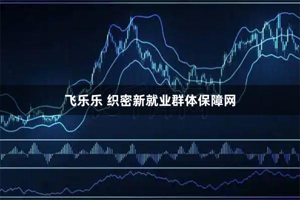 飞乐乐 织密新就业群体保障网