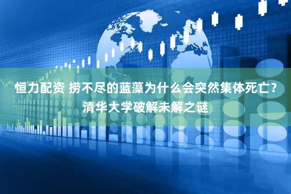 恒力配资 捞不尽的蓝藻为什么会突然集体死亡？清华大学破解未解之谜