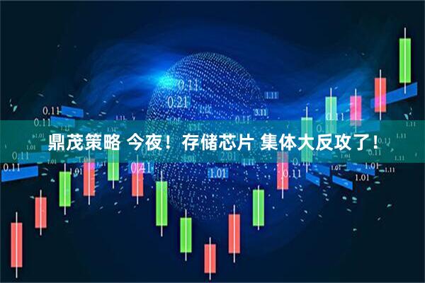鼎茂策略 今夜！存储芯片 集体大反攻了！