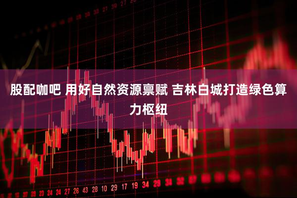 股配咖吧 用好自然资源禀赋 吉林白城打造绿色算力枢纽